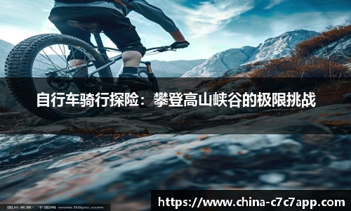 c7c7.app网页版